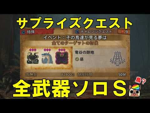 新たなチャレクエ全武器ソロＳ　その鳥達が見る夢は　モンハンワイルズ